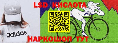 прущие грибы Кунгур