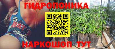 прущие грибы Кунгур