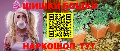 прущие грибы Кунгур