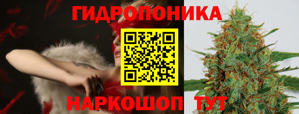 Каннабис марихуана  Вход с VPN  Кировск  Конопля Bruce Banner  МАРИХУАНА планчик 